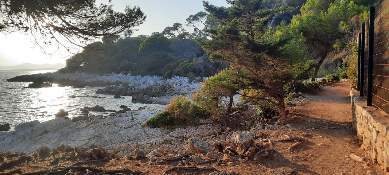 Studio Sun-Beach Avec Parking Et Jardin - 500M Des Plages De Juan Les Pins Antibes Eksteriør billede
