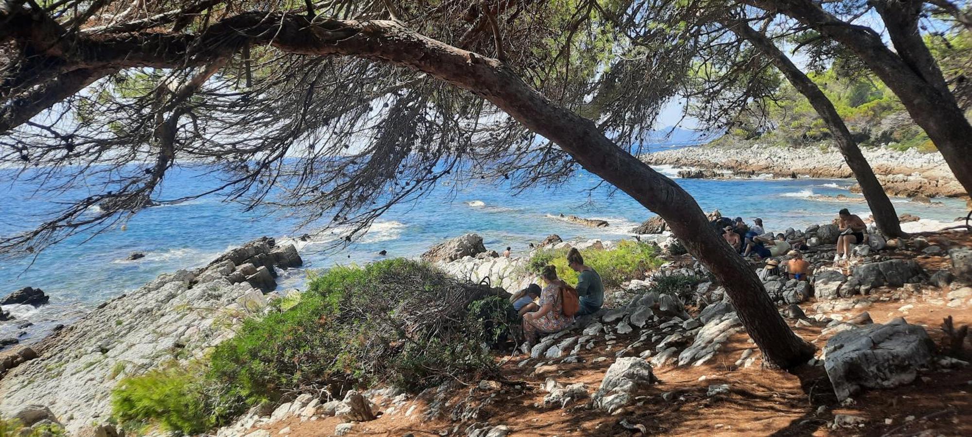 Studio Sun-Beach Avec Parking Et Jardin - 500M Des Plages De Juan Les Pins Antibes Eksteriør billede